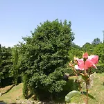 La Dimora Toscana Venkovský dům *